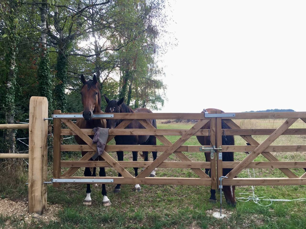 Propri&eacute;t&eacute; &eacute;questre &agrave; 30' de Tours