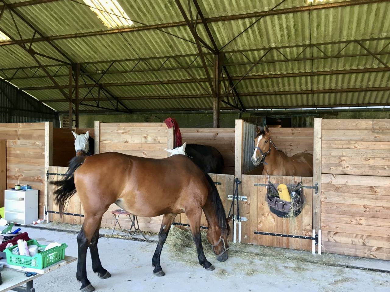 Propri&eacute;t&eacute; &eacute;questre &agrave; 30' de Tours