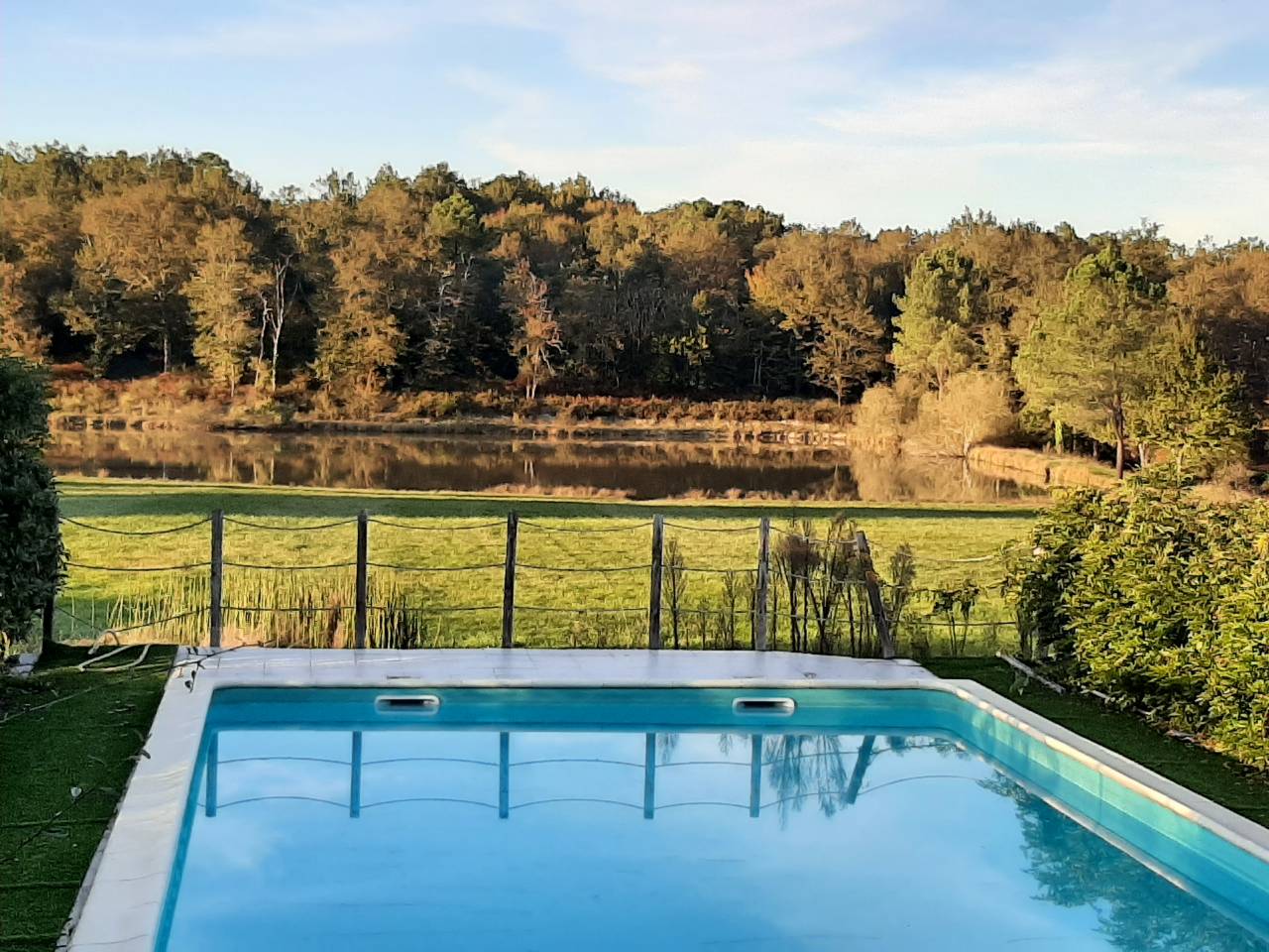 propri&eacute;t&eacute; seul tenant 29HA d&eacute;ale pour &eacute;levage chevaux ,