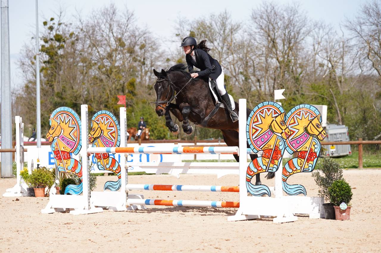 Hongre 17 ans polyvalent