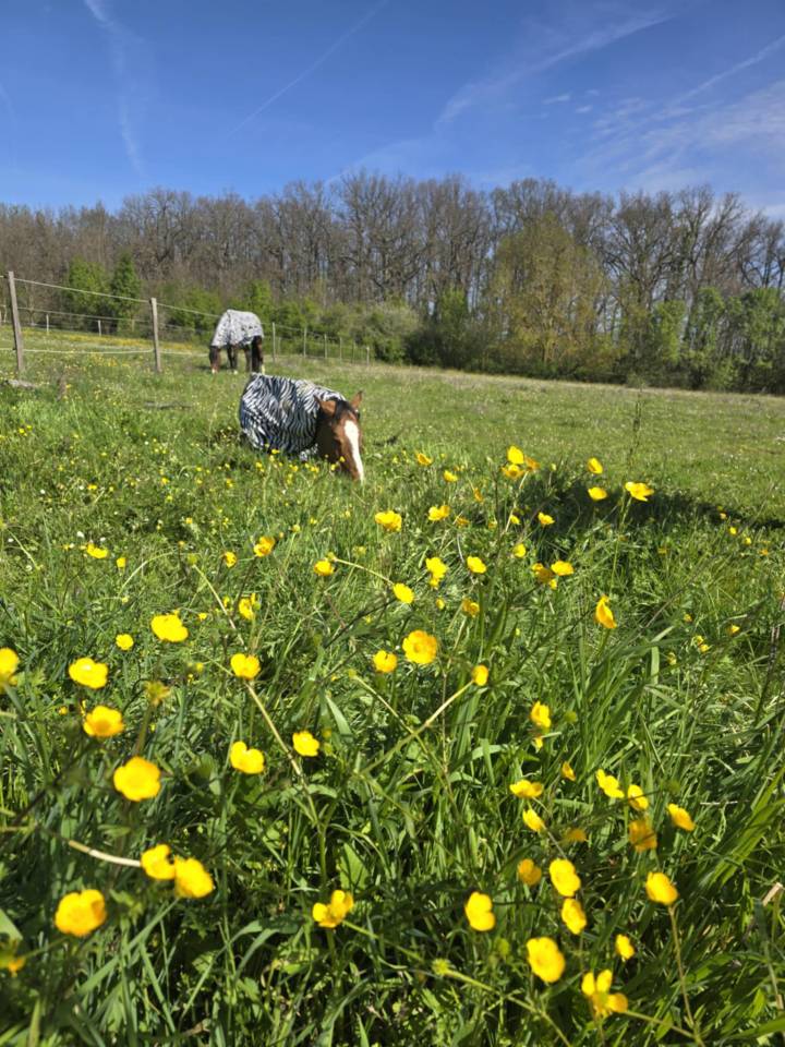 Places disponibles en Pension &eacute;curie dynamique Samatan