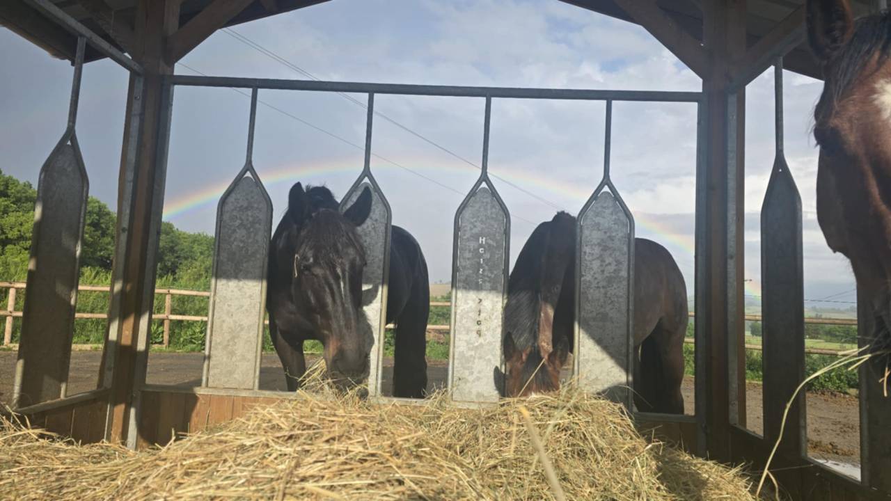 Places disponibles en Pension &eacute;curie dynamique Samatan