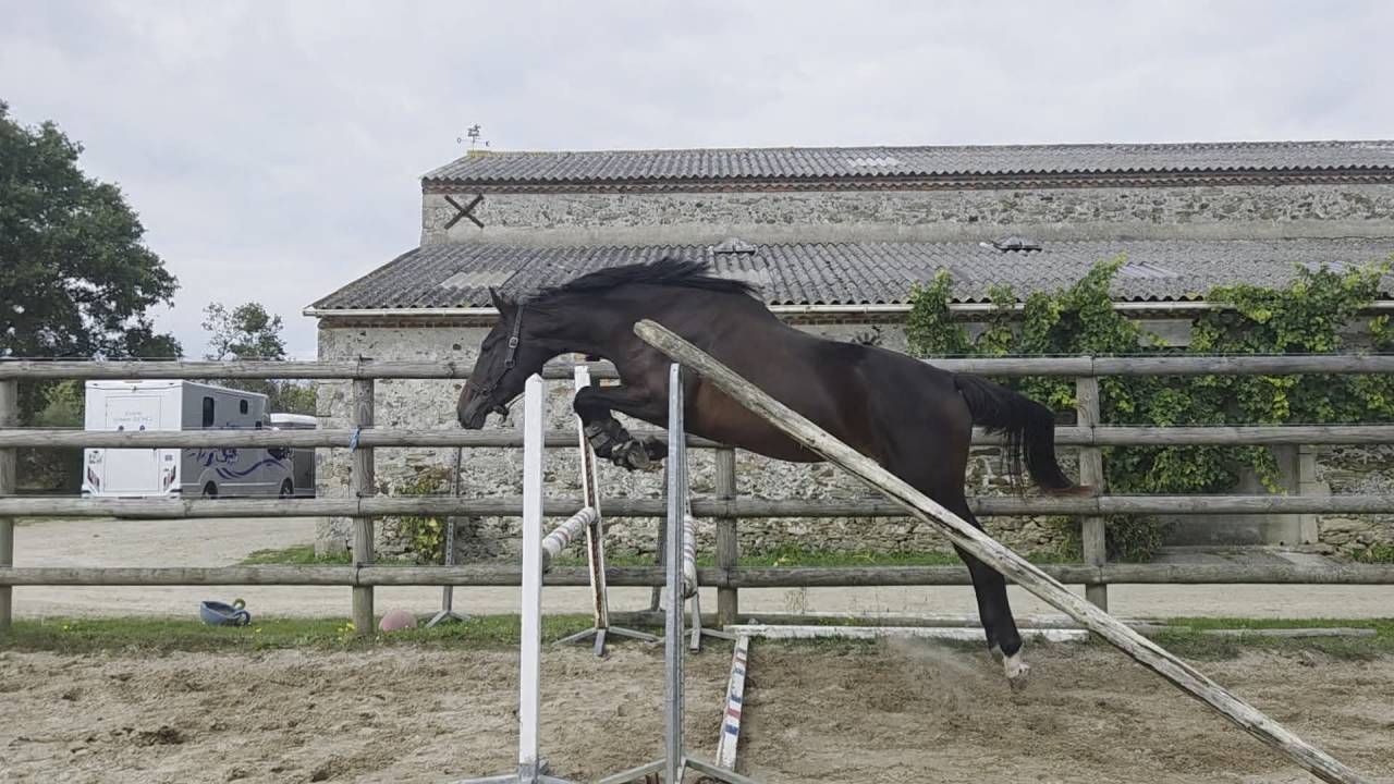 Super 3 ans pour amateur ambitieux