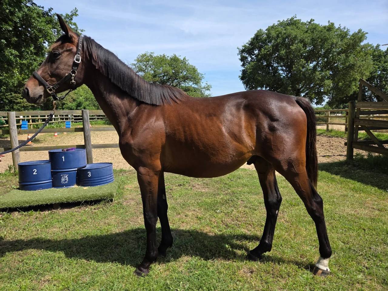 Super 3 ans pour amateur ambitieux