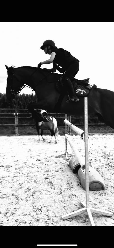 Vestige cherche une nouvelle famille 