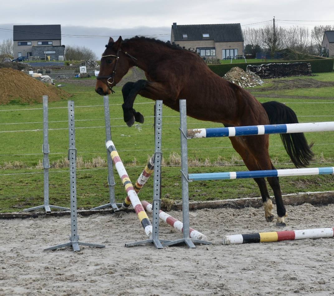 MAGNIFIQUE JEUNE 3 ANS