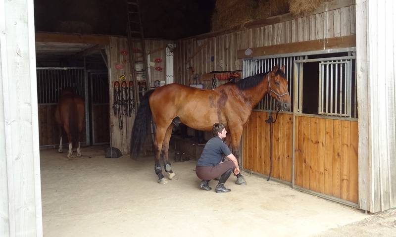 Pension dans une &eacute;curie collaborative en Sarthe 