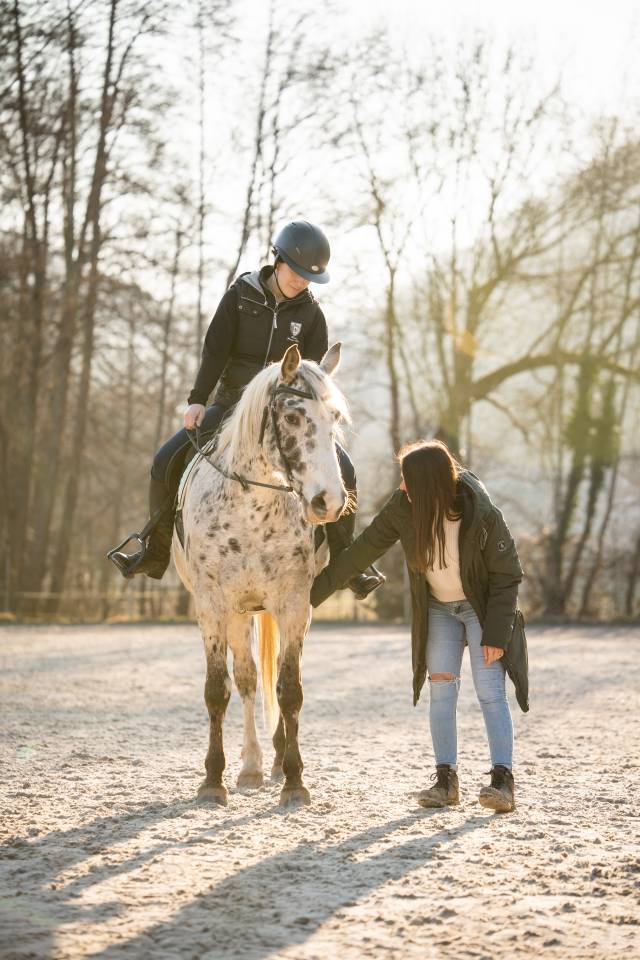 PL ERGONOMIE - Saddle fitter en Alsace 