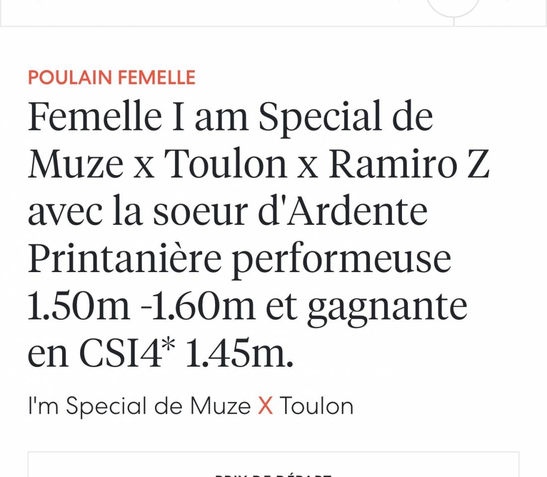Filly (2025) I'm Special de Muze x Toulon x Ramiro z