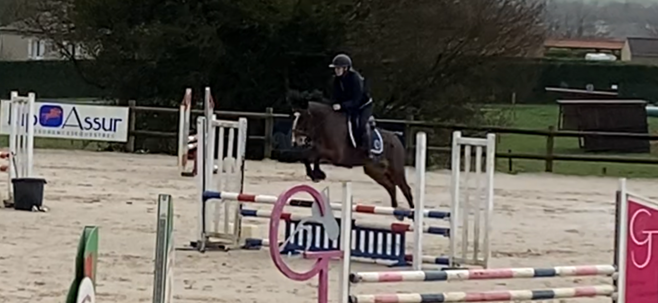 Poney D 5 ans pr&ecirc;t Pelite pour As a terme.