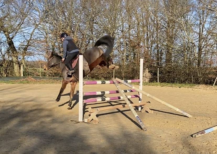 Poney D 5 ans pr&ecirc;t Pelite pour As a terme.