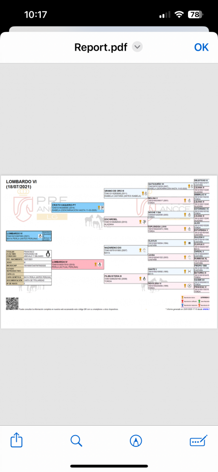 Vend entier pur race espagnol creme