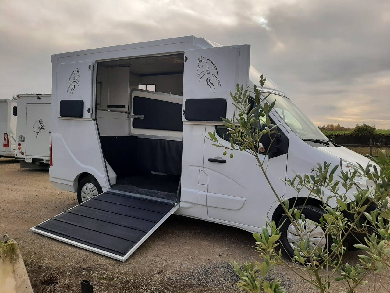 Renault Master Transport chevaux