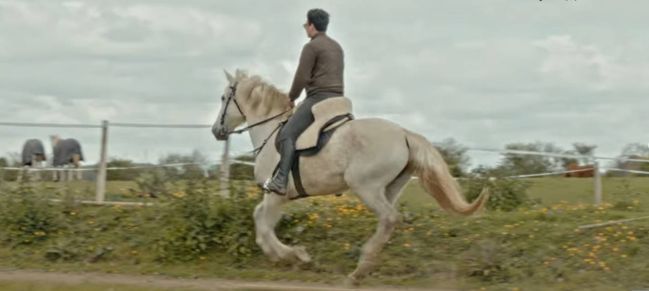 Jument ONC espagnole 15 ans 