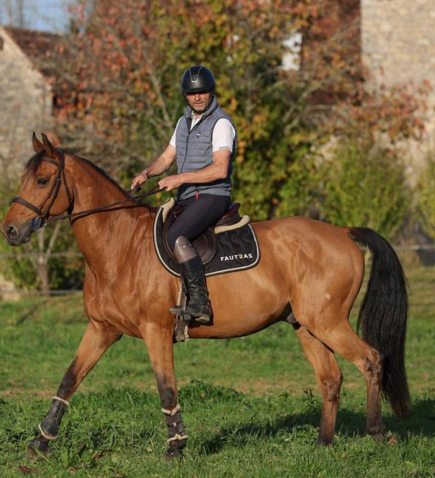 Easy boy hongre Sf 12 ans 