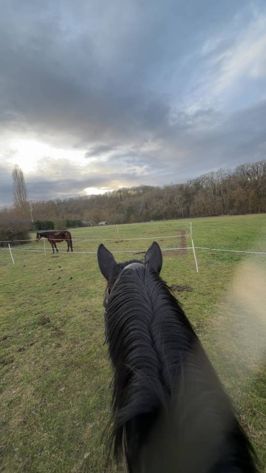 Super juments pr&ecirc;te sur 135