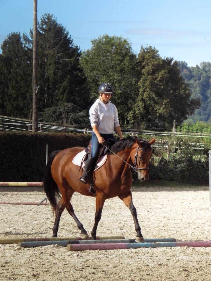Jument 5 ans selle fran&ccedil;ais 