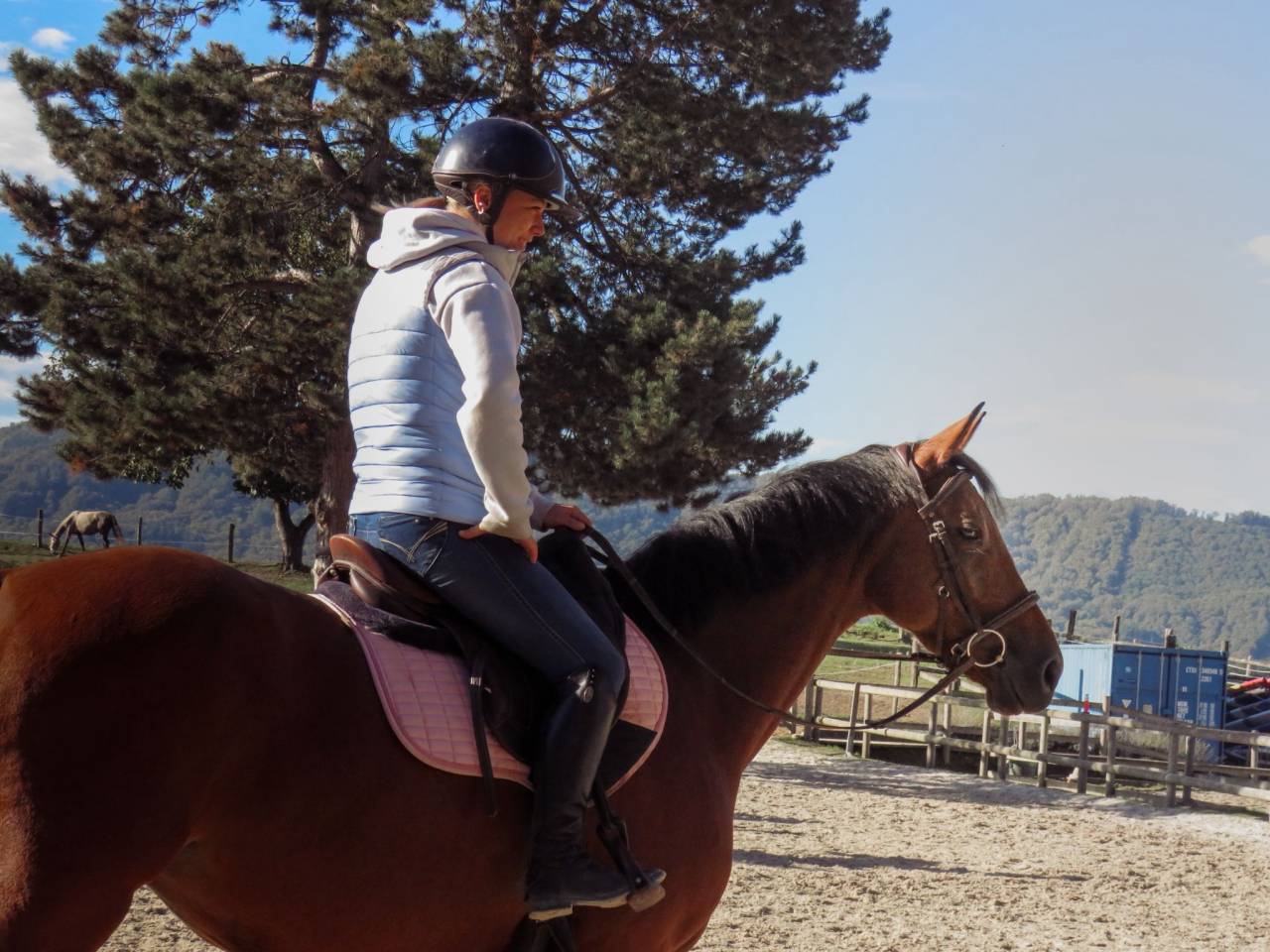 Jument 5 ans selle fran&ccedil;ais 