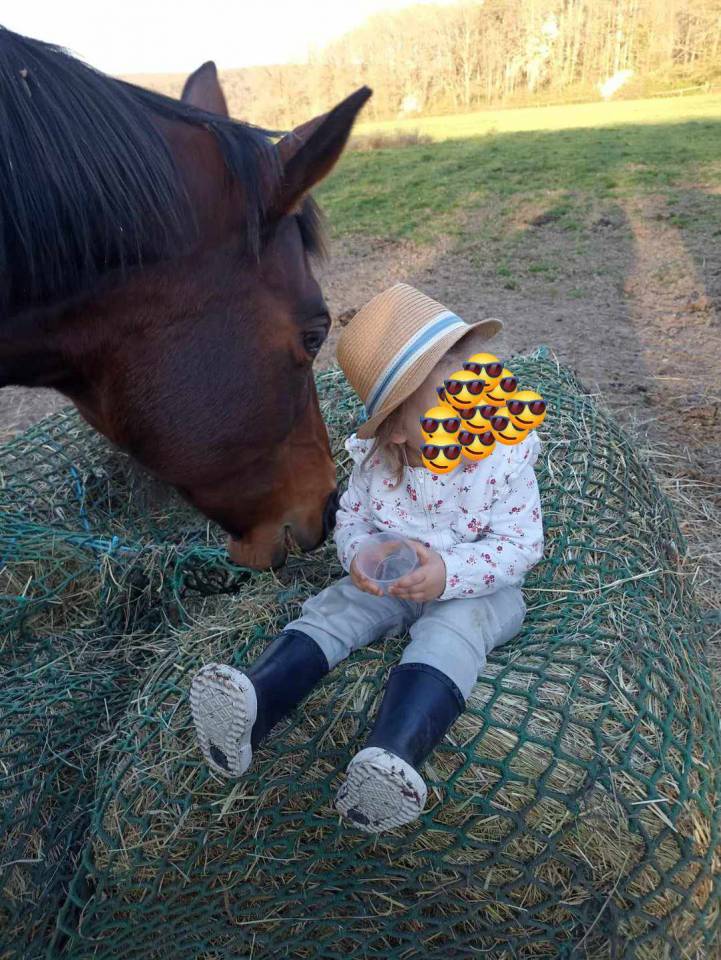 Vente Jument AA de 2008