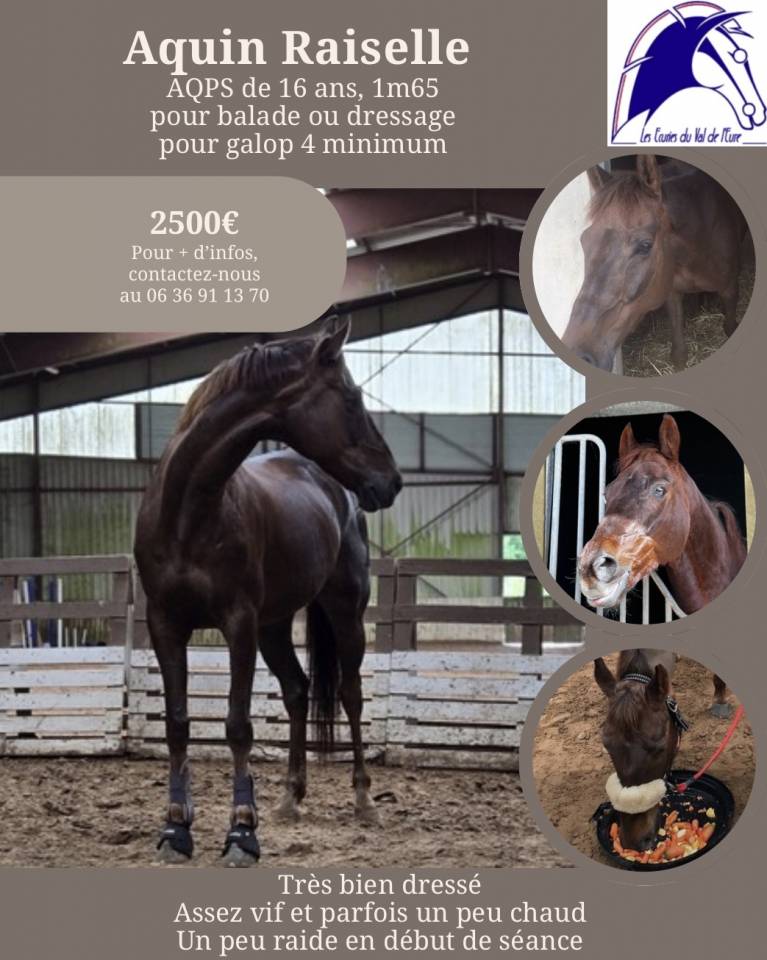 Aquin Raisselle AQPS