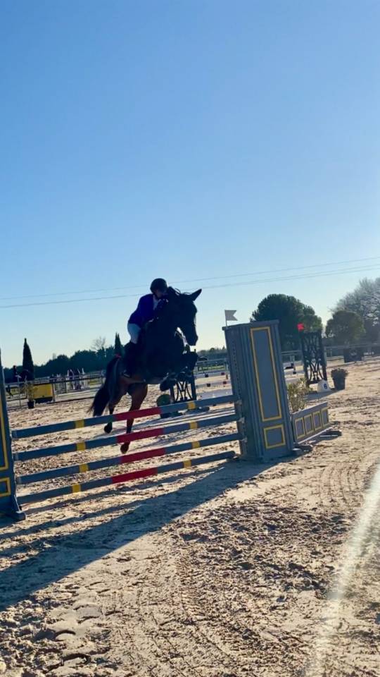 Recherche demi pension 