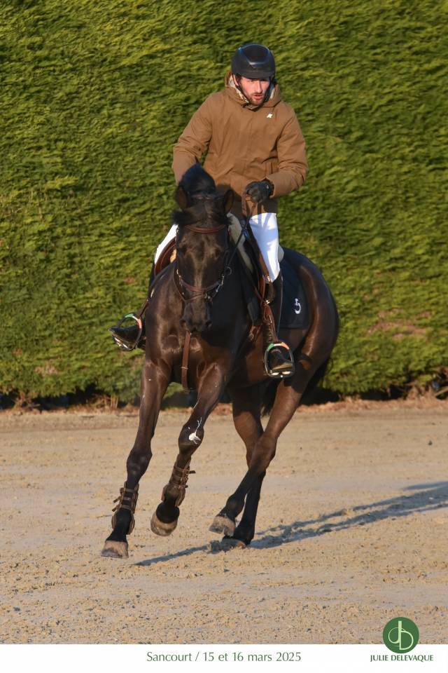 Cavalier Pro - D&eacute;bourrage - travail a pied 