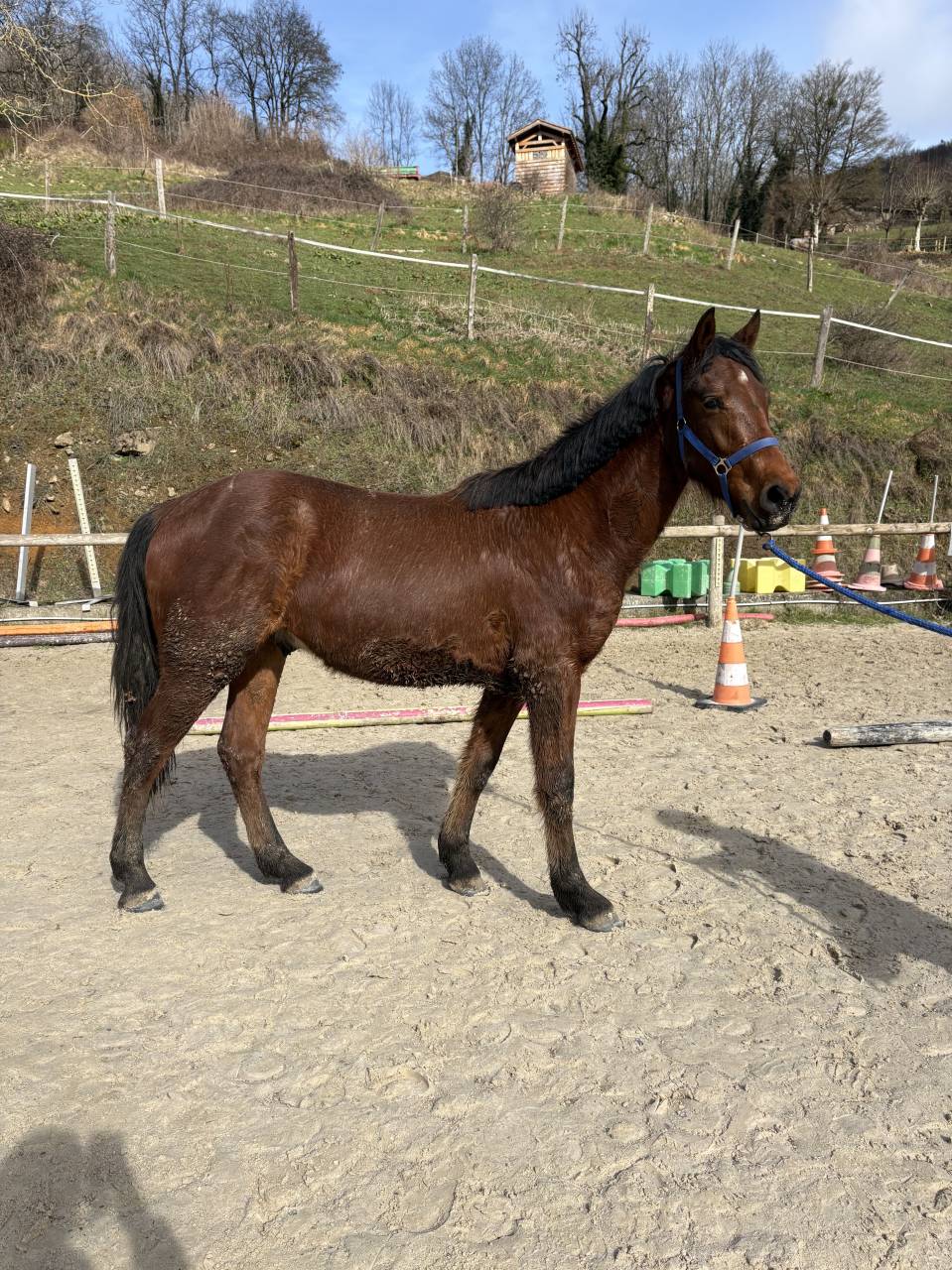 O&rsquo;lastar de Loliban&rsquo;s 