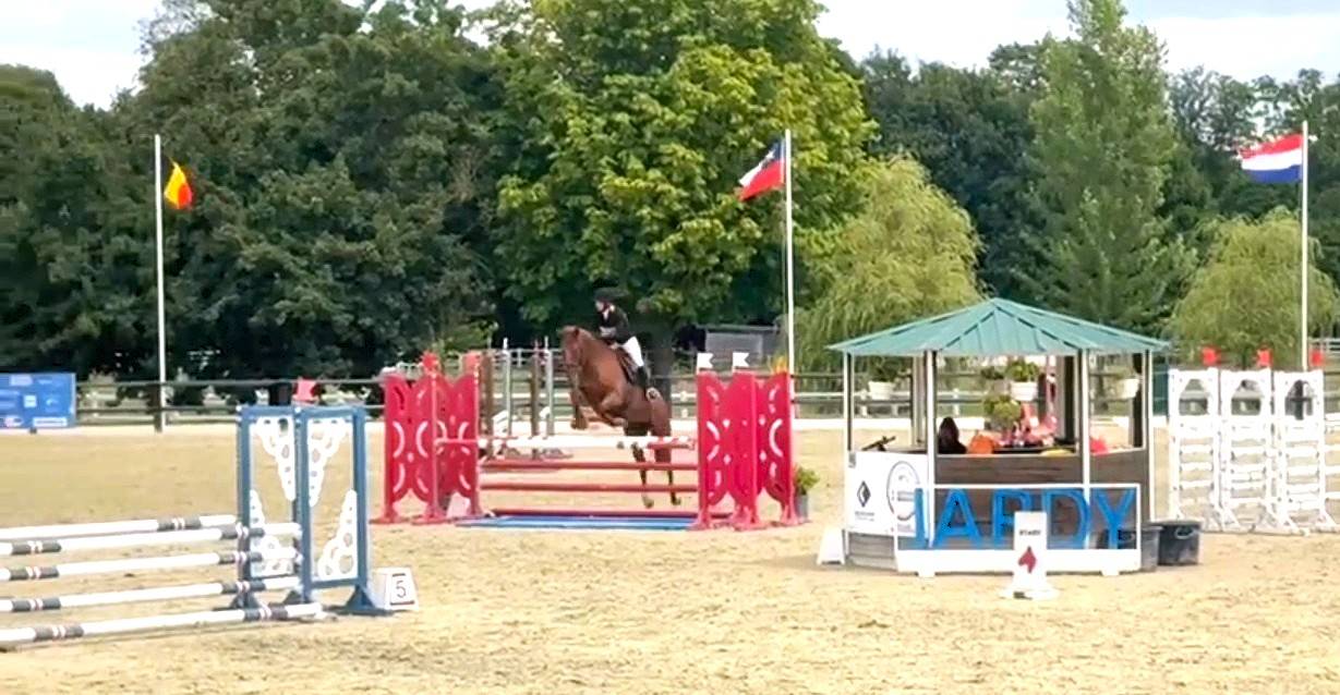 A vendre jument SF 9 ans pour loisirs