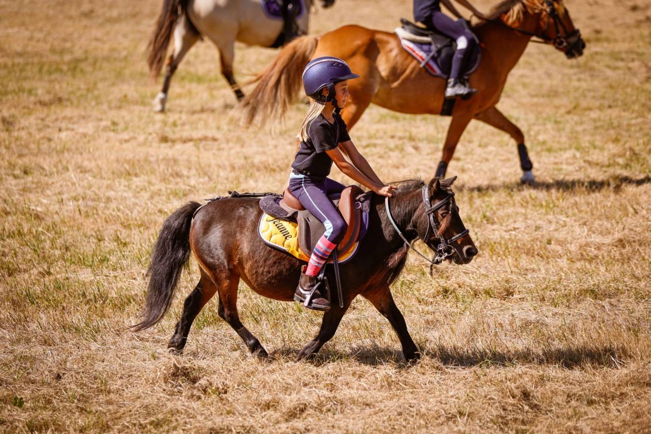 Ponette A ma&icirc;tresse d ecole