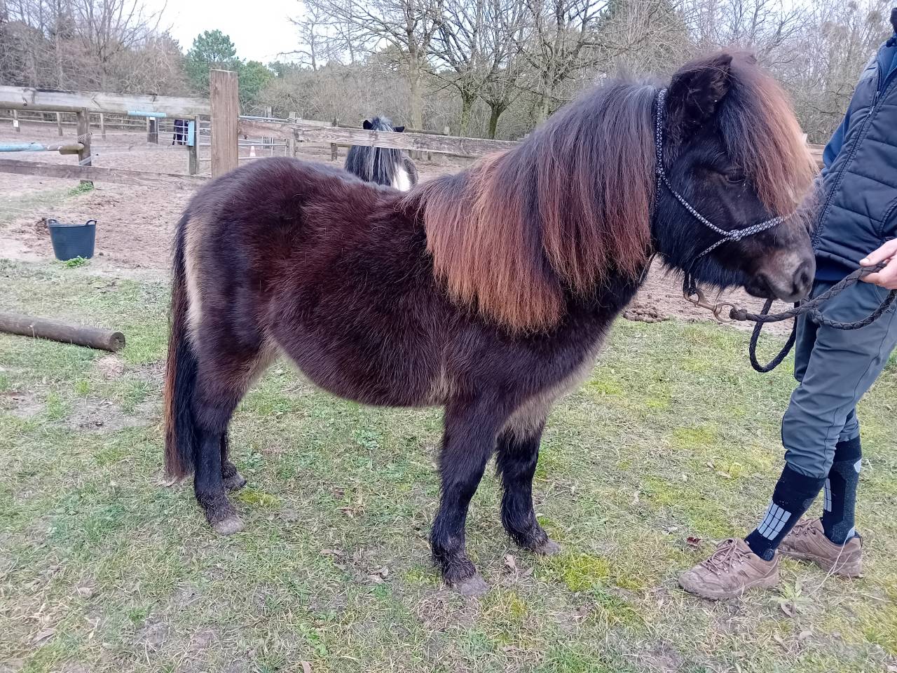 M&acirc;le de 2 ans RBP