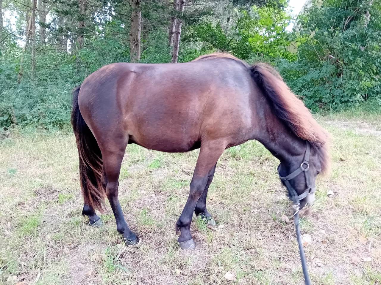 M&acirc;le de 2 ans RBP