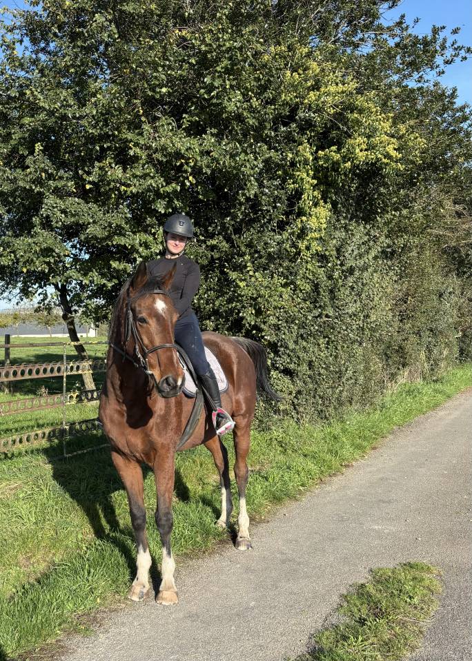 Jument pur sang de 14 ans 