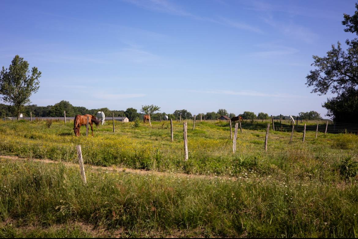 Ecurie JTM - CSO - Dress (32)