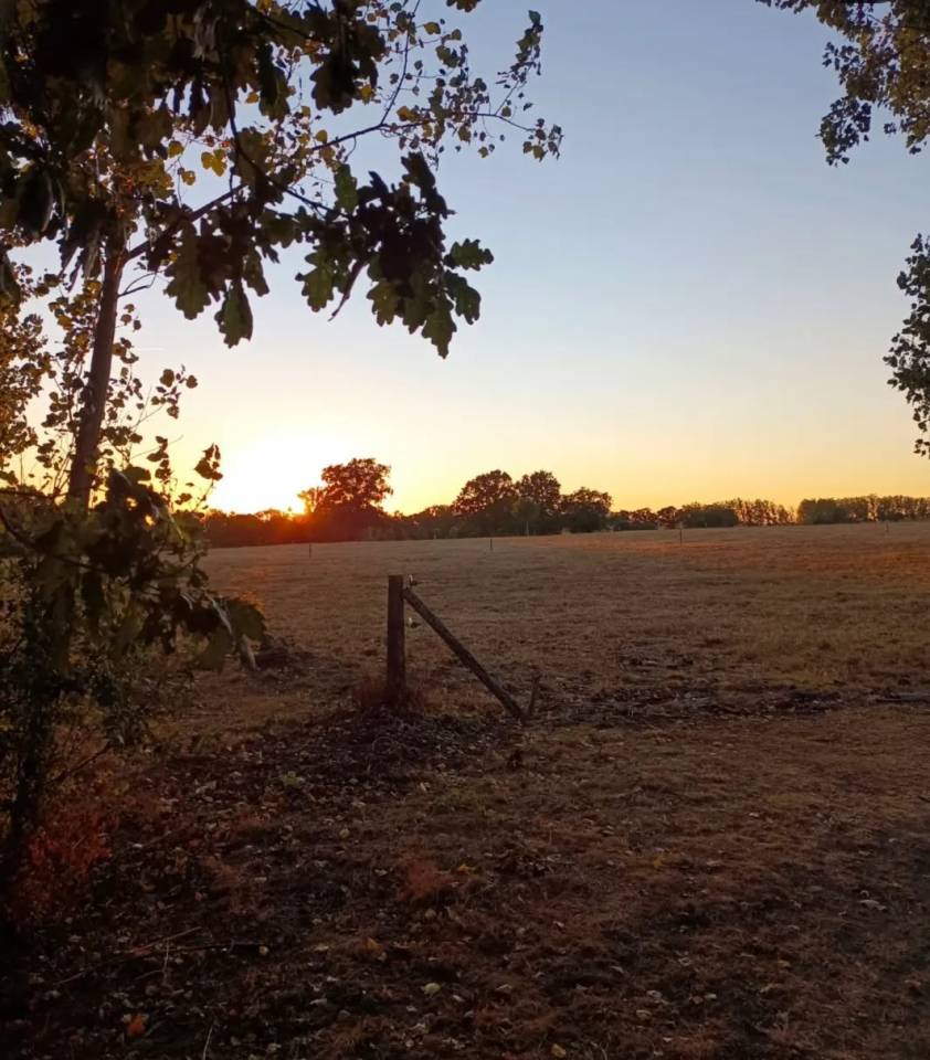  Projet d&rsquo;investissement immobilier & &eacute;questre