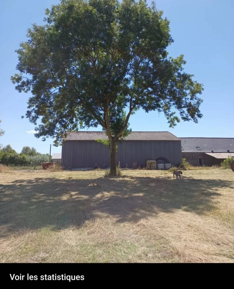  Projet d&rsquo;investissement immobilier & &eacute;questre