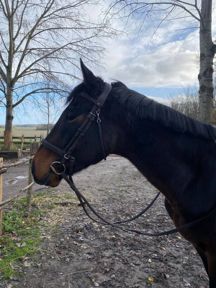 Ps 3 ans &agrave; vendre 