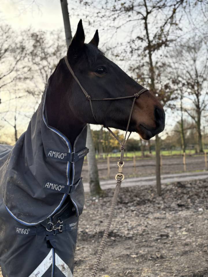 Ps 3 ans &agrave; vendre 