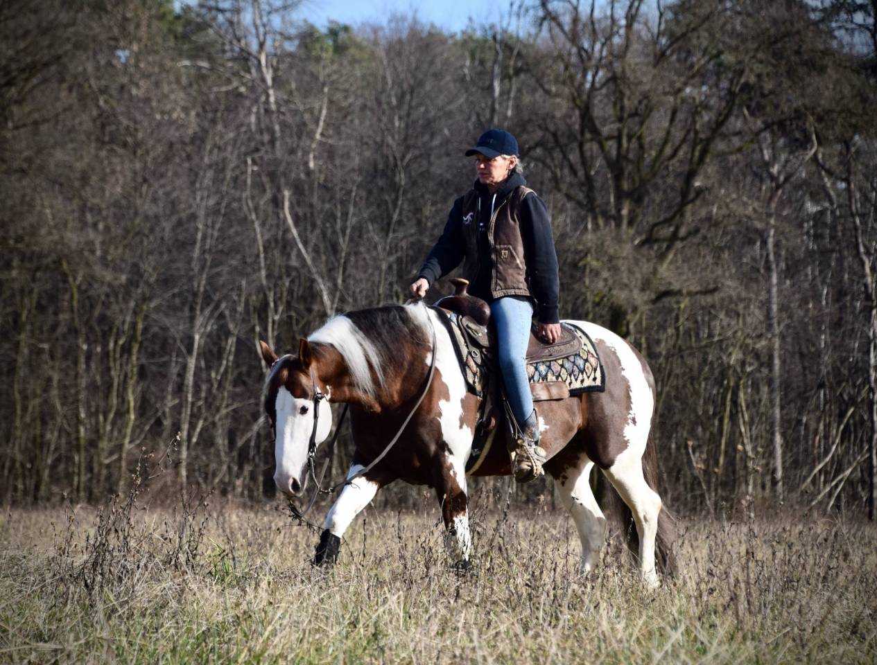 Etalon Paint-Horse  bai tobiano