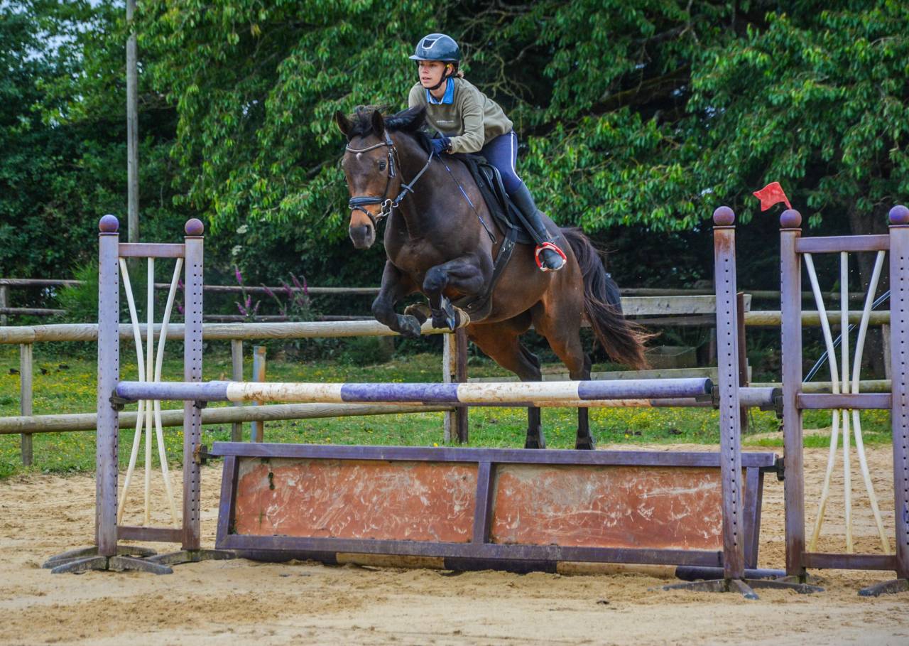 Cheval 8 ans pour CSO/CCE