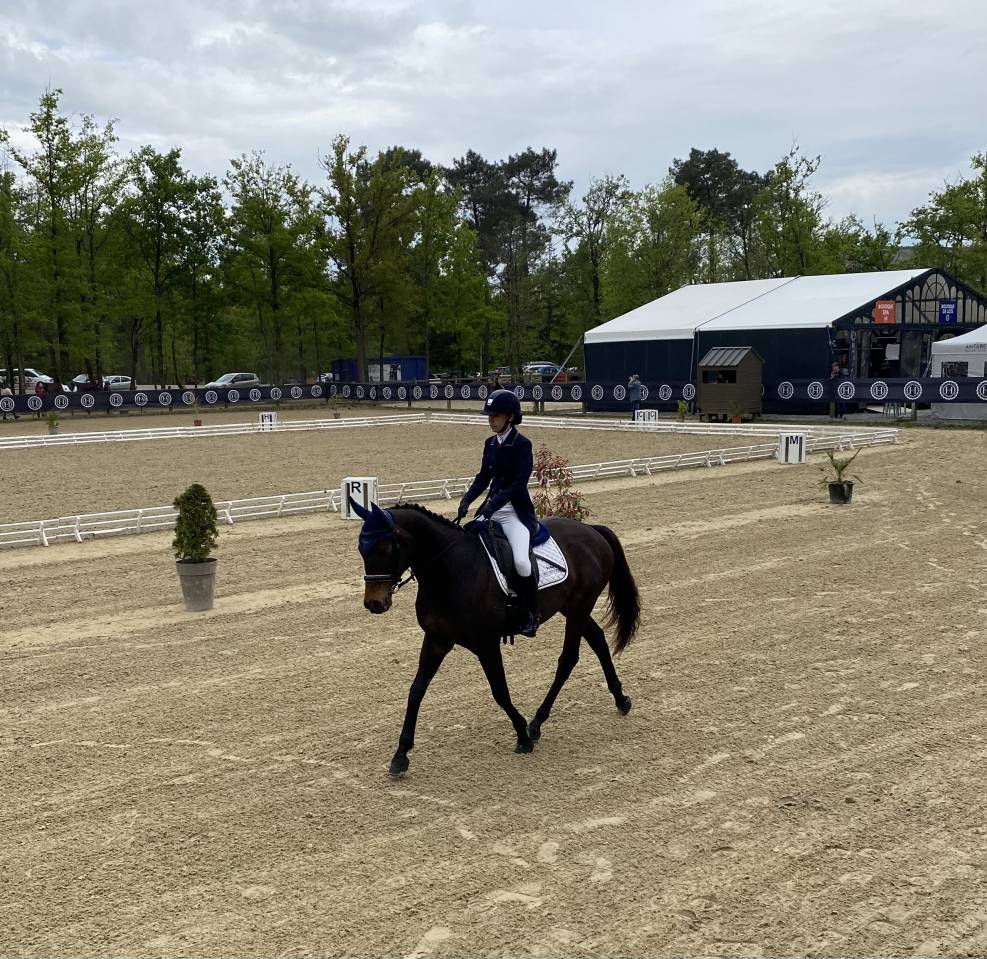Cheval 8 ans pour CSO/CCE