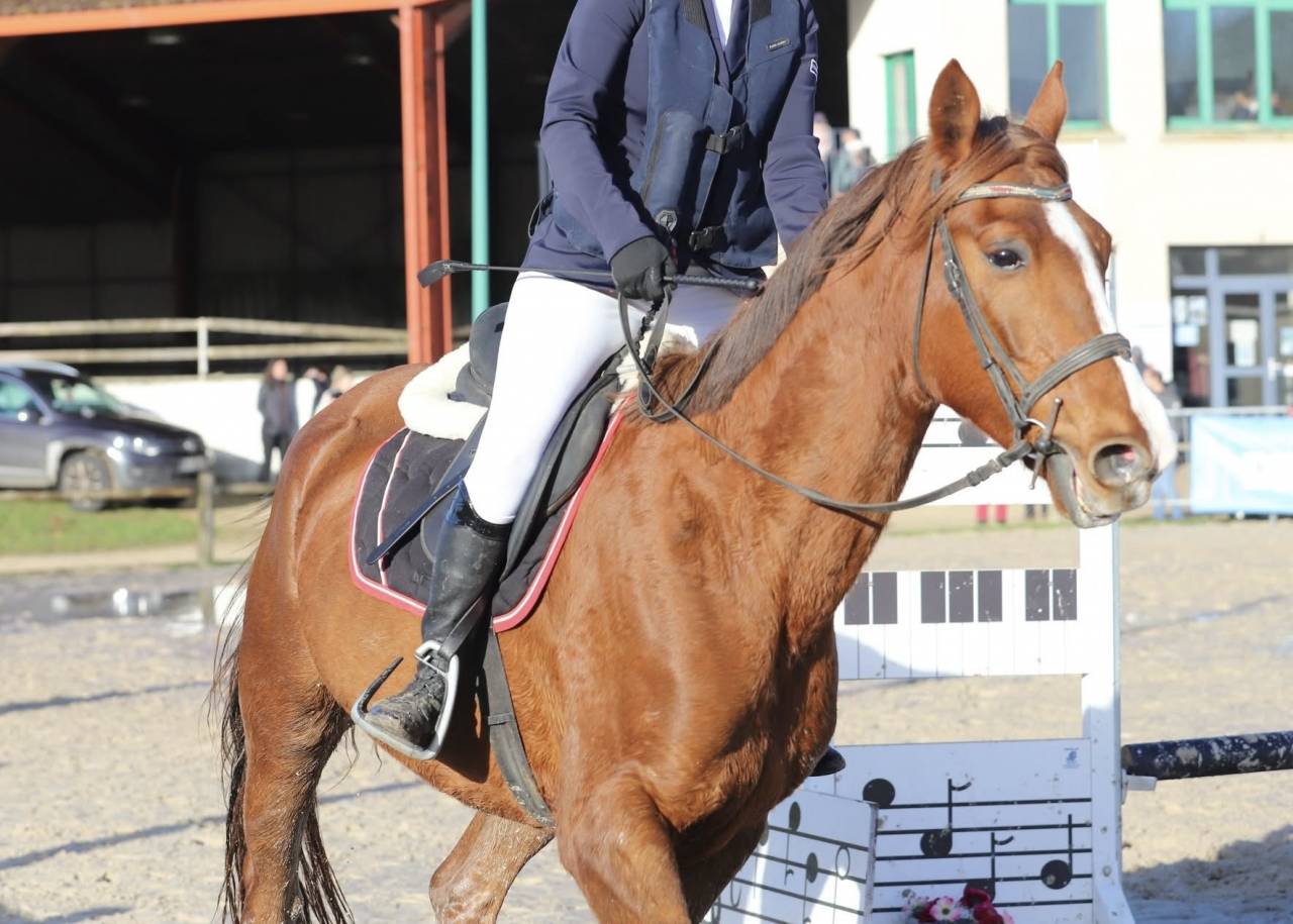 Super JUMENT TF 6 ans