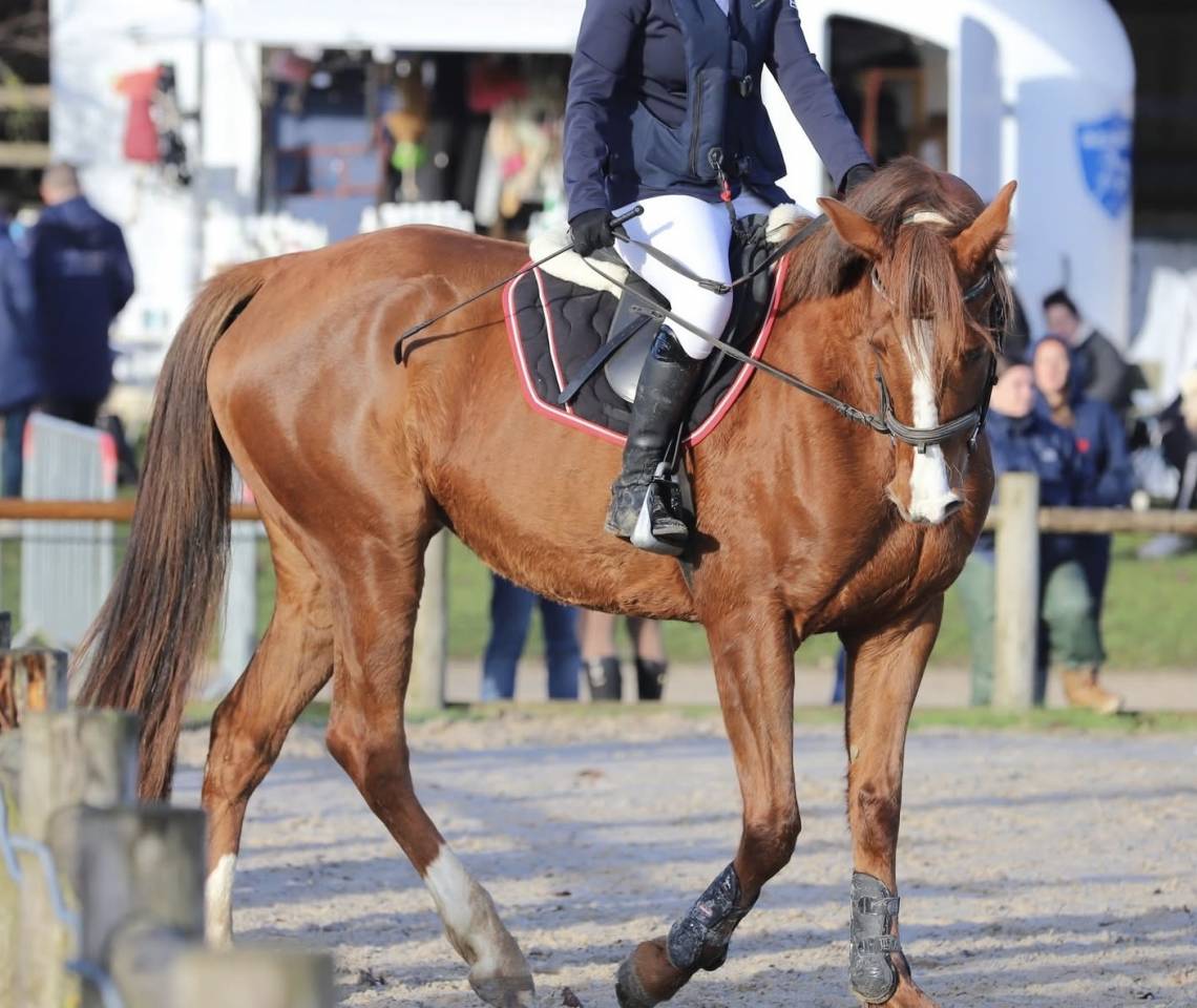 Super JUMENT TF 6 ans