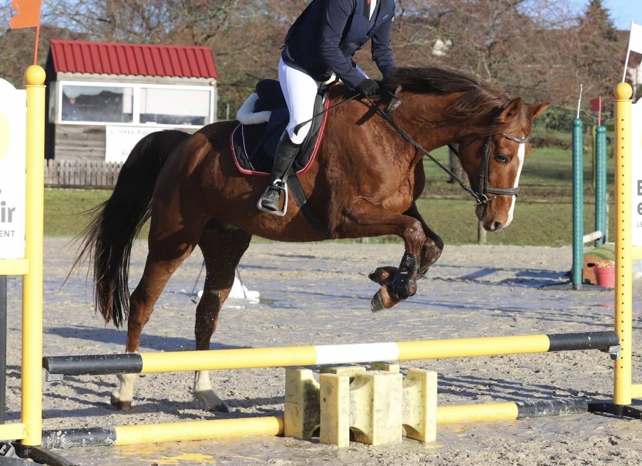 Super JUMENT TF 6 ans