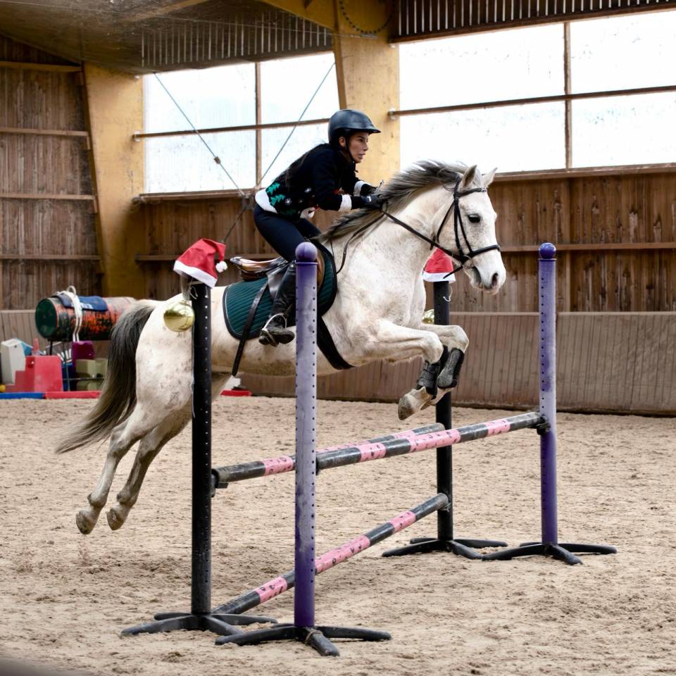 Poney D CCE Connemara x Pur sang Arabe