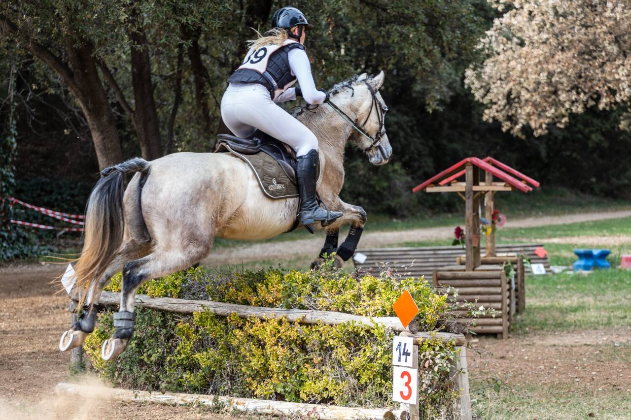 Poney D CCE Connemara x Pur sang Arabe