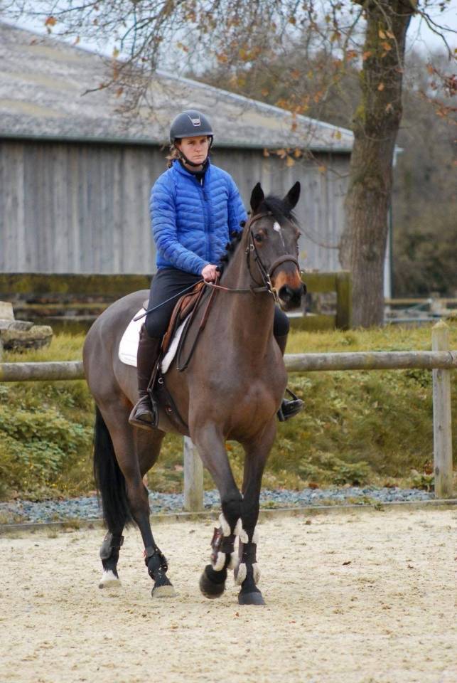 Top jument de 4 ans par Diamant de Semilly 