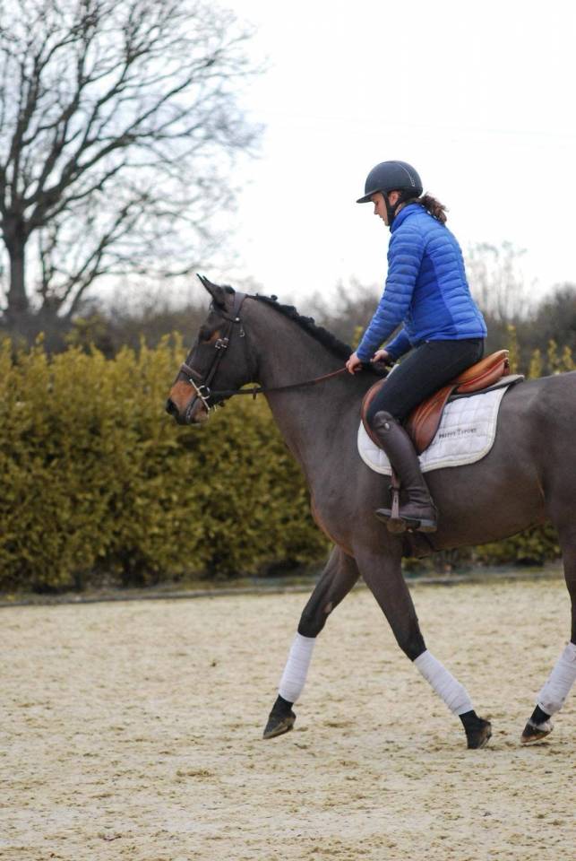 Top jument de 4 ans par Diamant de Semilly 