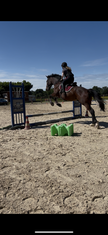 Trotteur de 8ans plein papier 