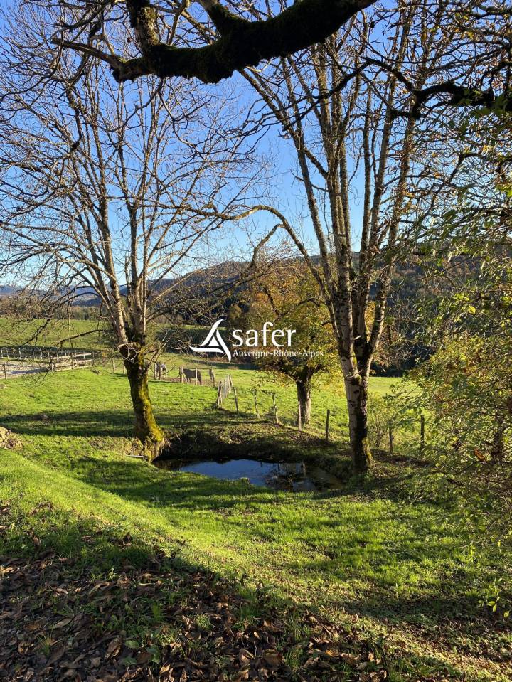 Propri&eacute;t&eacute; en pierre isol&eacute;e avec vastes d&eacute;pendances sur 27 he