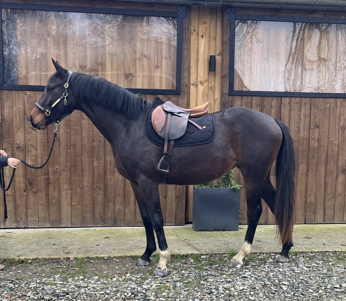 Propose location pour &eacute;levage ou loisir 